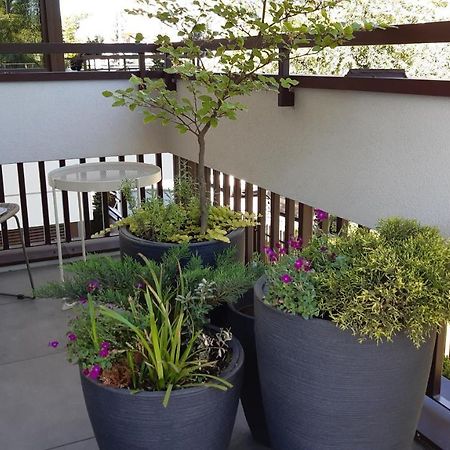 4Four Apartment, Villa MODERNO, Taras,Parking Stary Toruń Esterno foto